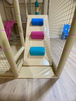 Miniatura de Subida de dunas